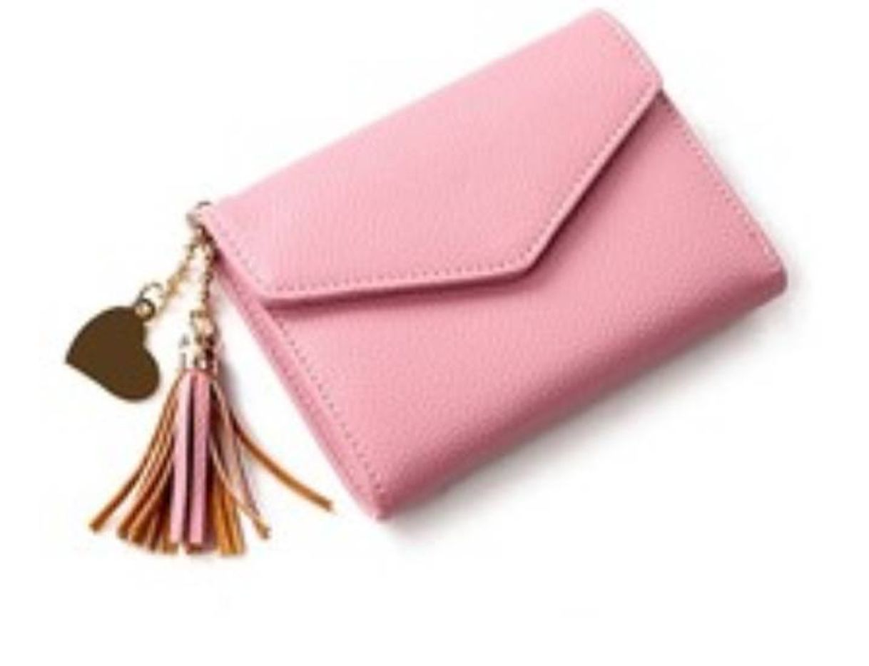 Cartera de dama 