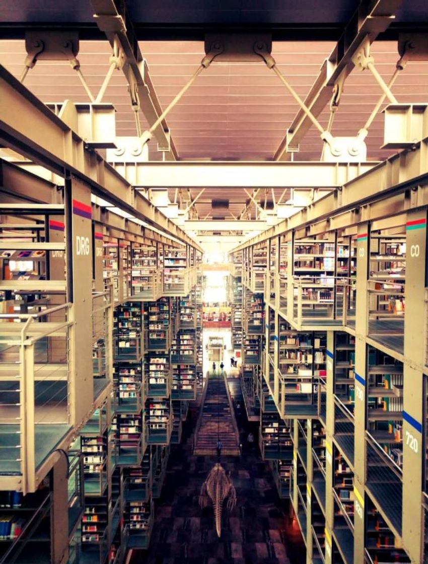 Lugar Biblioteca vasconcelo