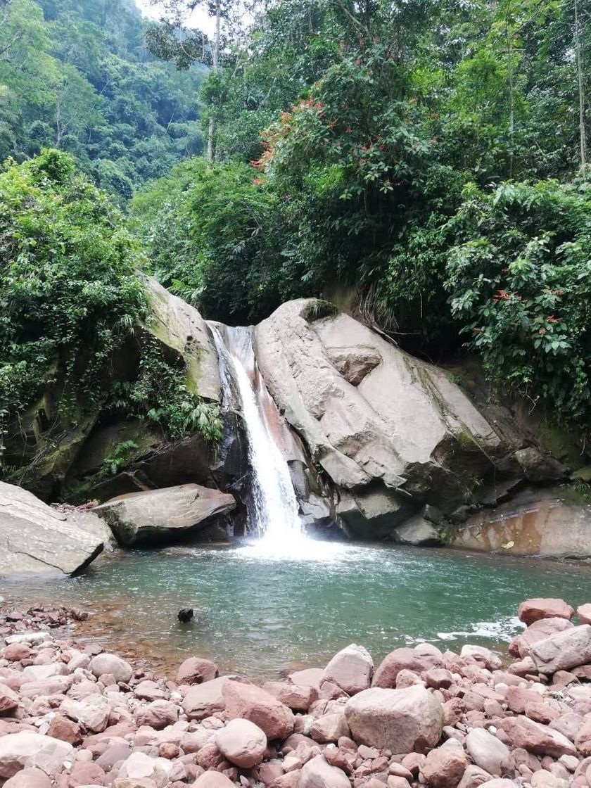 Lugar Cataratas sabaloyacu