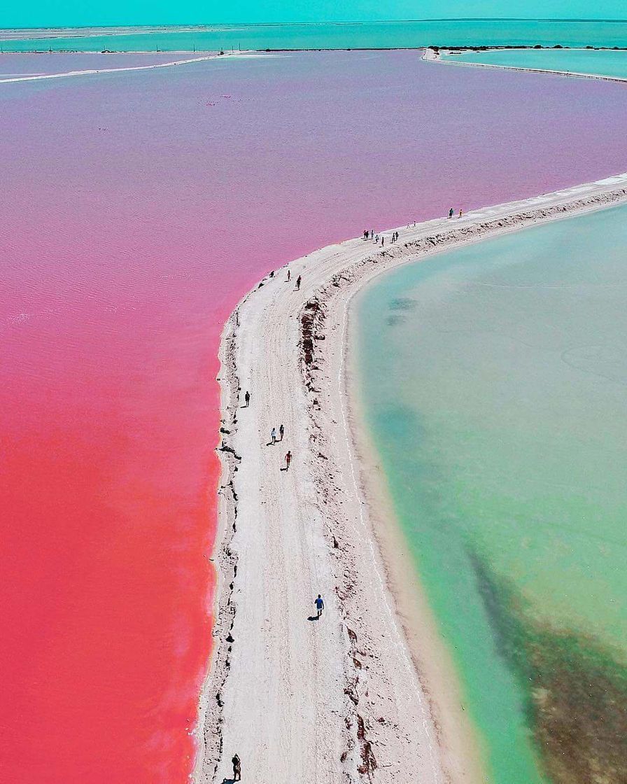 Place Las Coloradas Yucatan