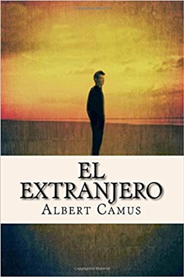 Book El Extranjero (Spanish Edition)