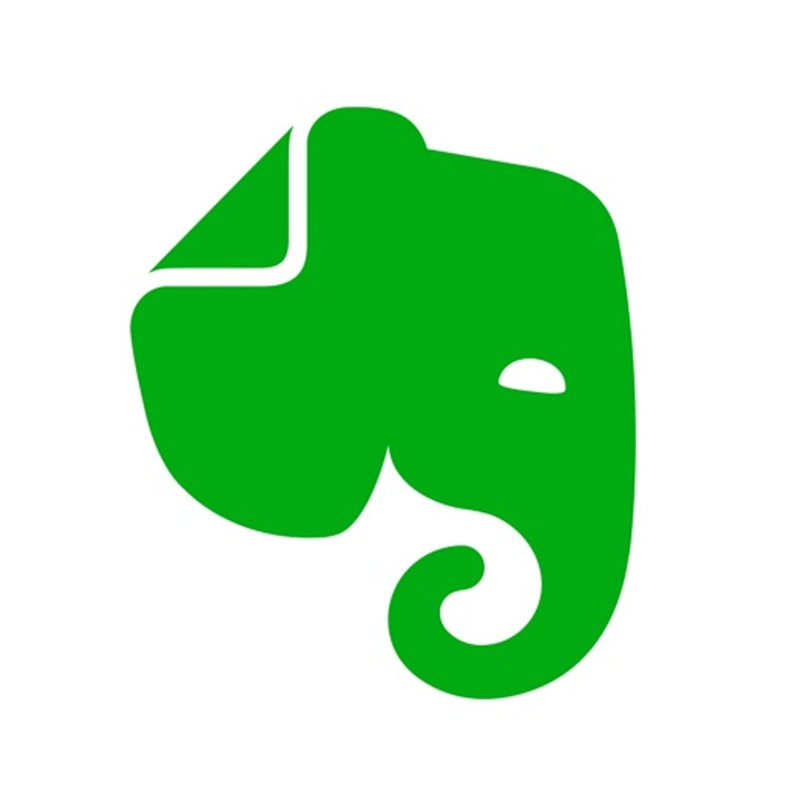 App Evernote