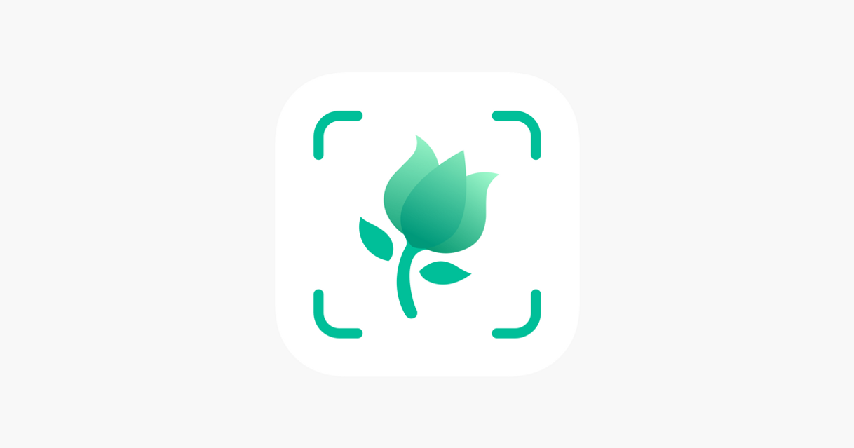 App PictureThis Identificar Planta