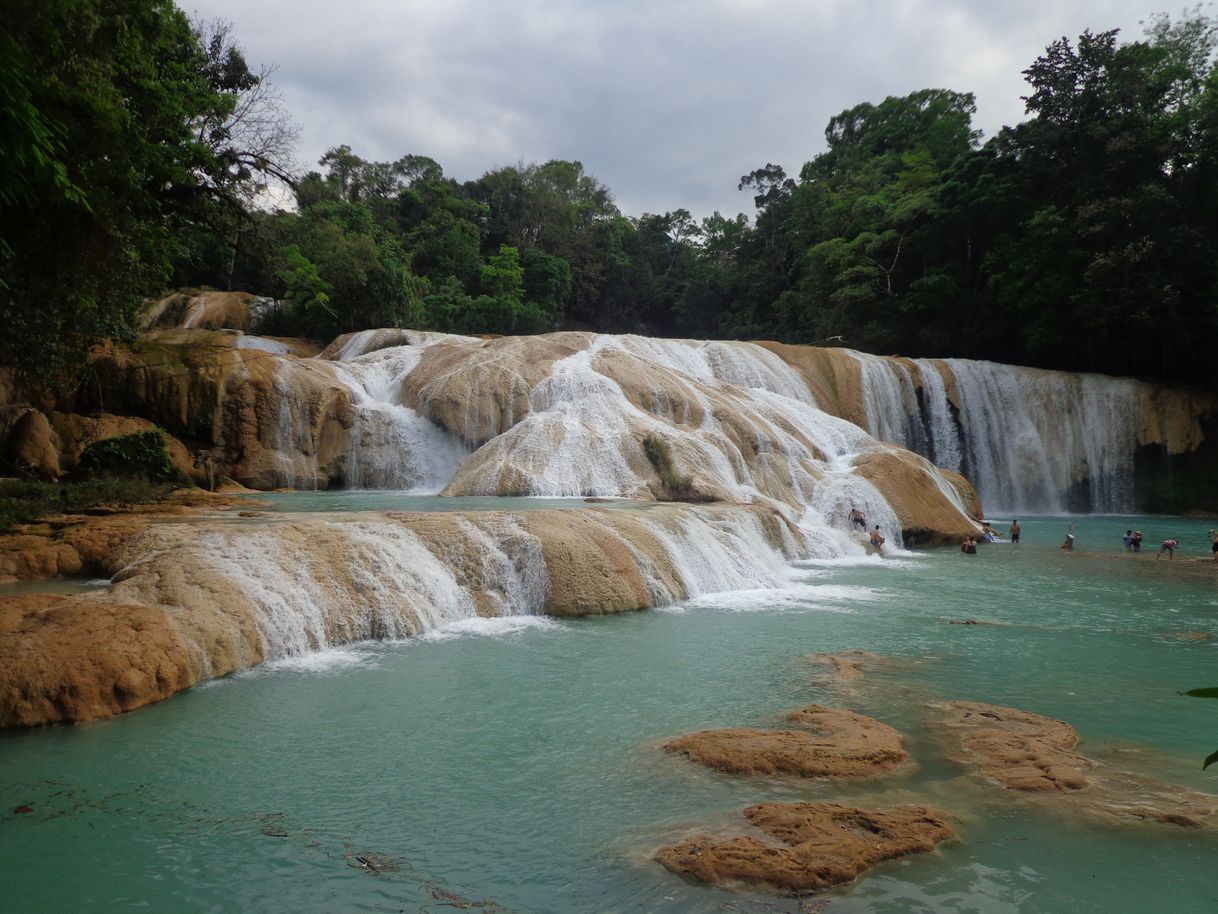 Lugar Cascadas de Agua Azul