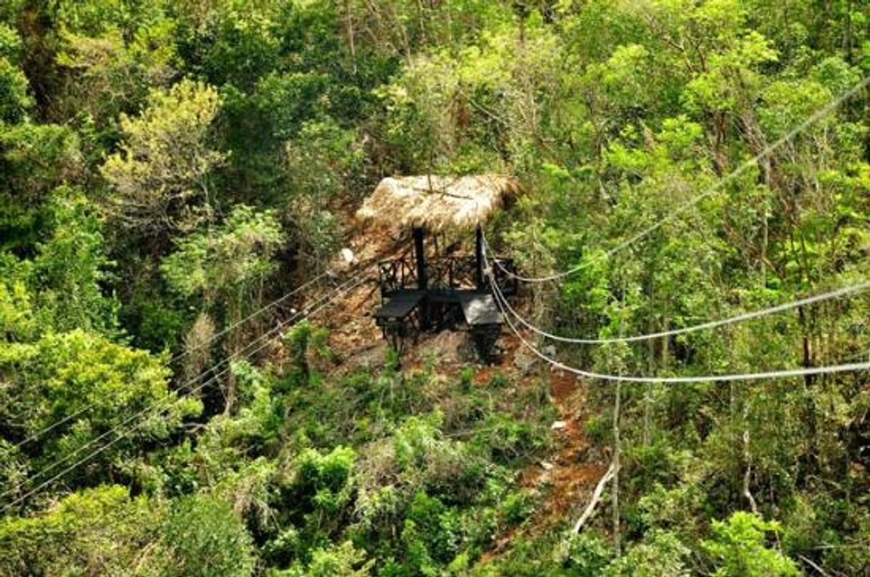 Lugar Samaná Zipline, El Valle