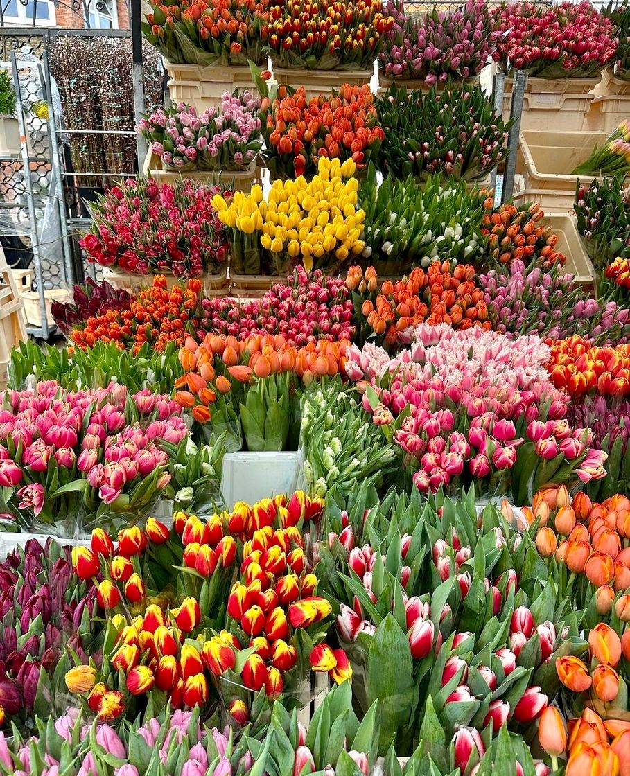 Place Columbia Road Flower Market