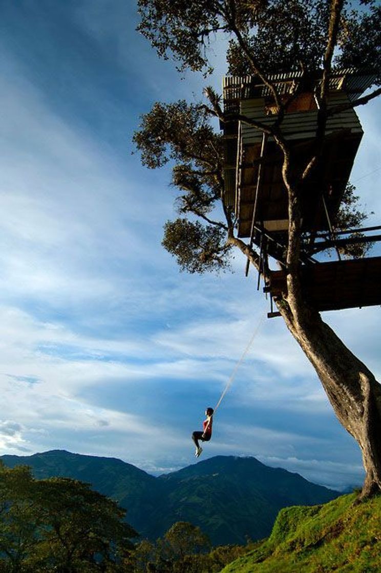 Lugar La Casa del Arbol