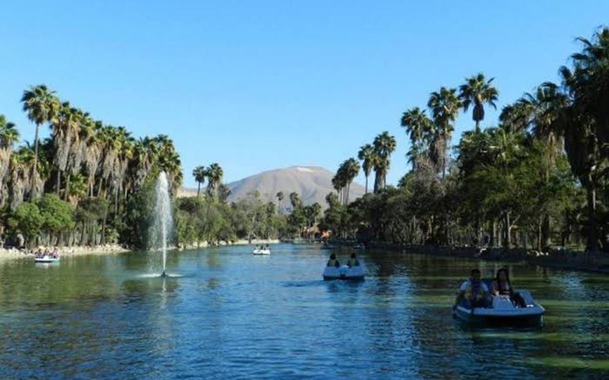 Lugar Parque Morelos