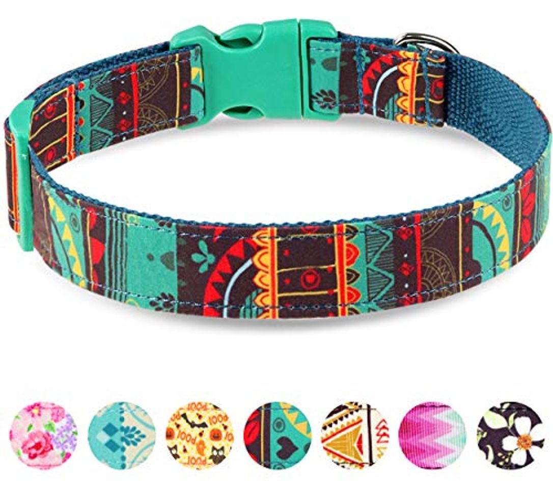 Social Taglory Collar Perro Ajustable