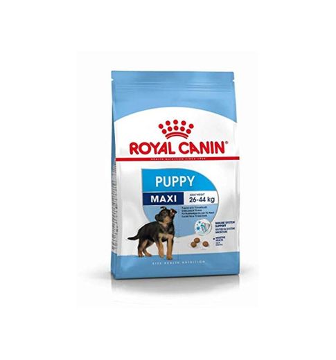 Royal Canin Alimento para Perros Maxi Puppy- 15 kg