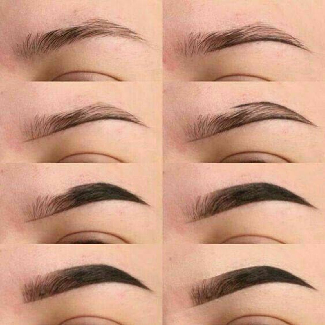 Fashion Cejas perfectas 