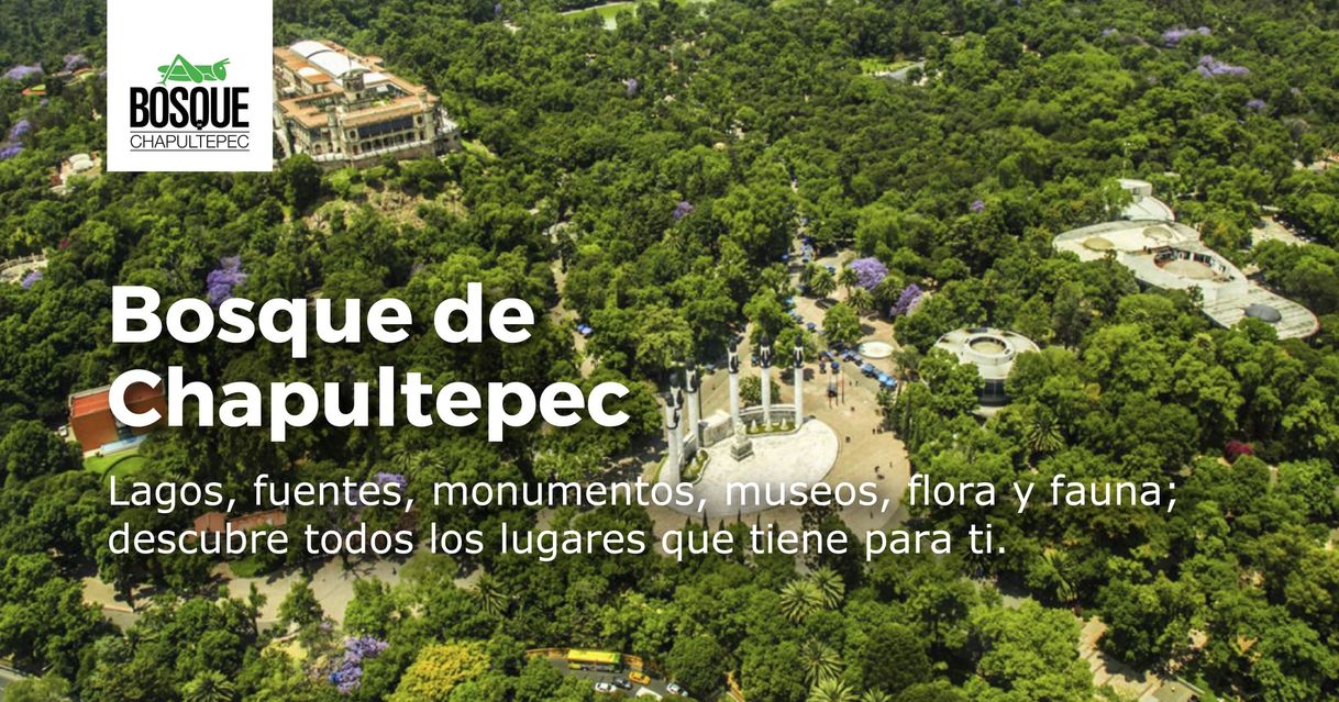 Place Bosque de Chapultepec