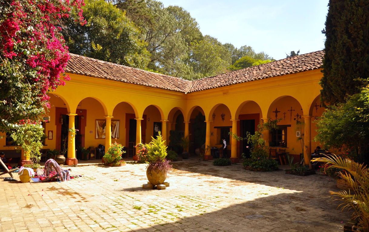 Lugar Museo Na Bolom