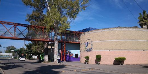 Museo Interactivo Colibri