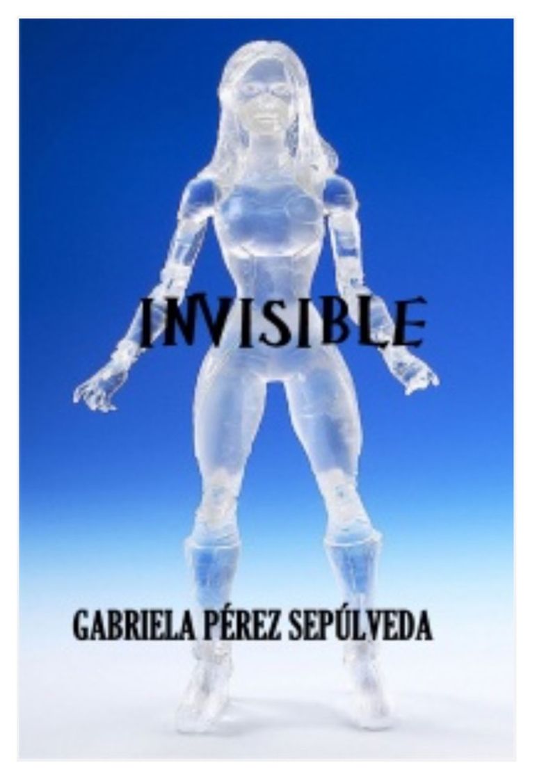 Book Invisible 