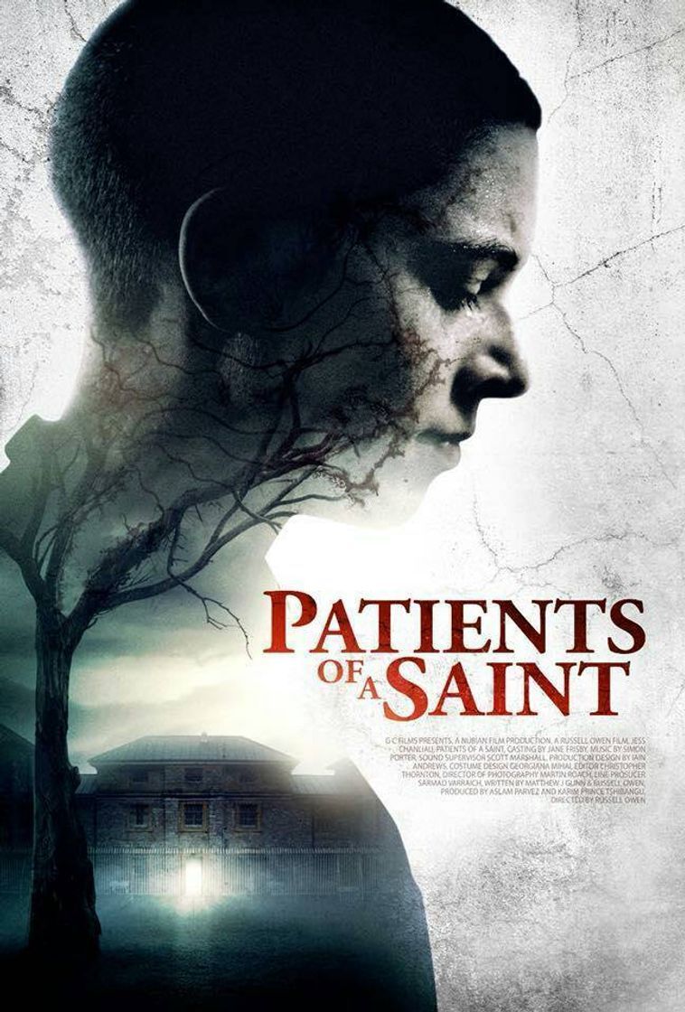 Fashion Manicomio del terror/ Patients of a Saint