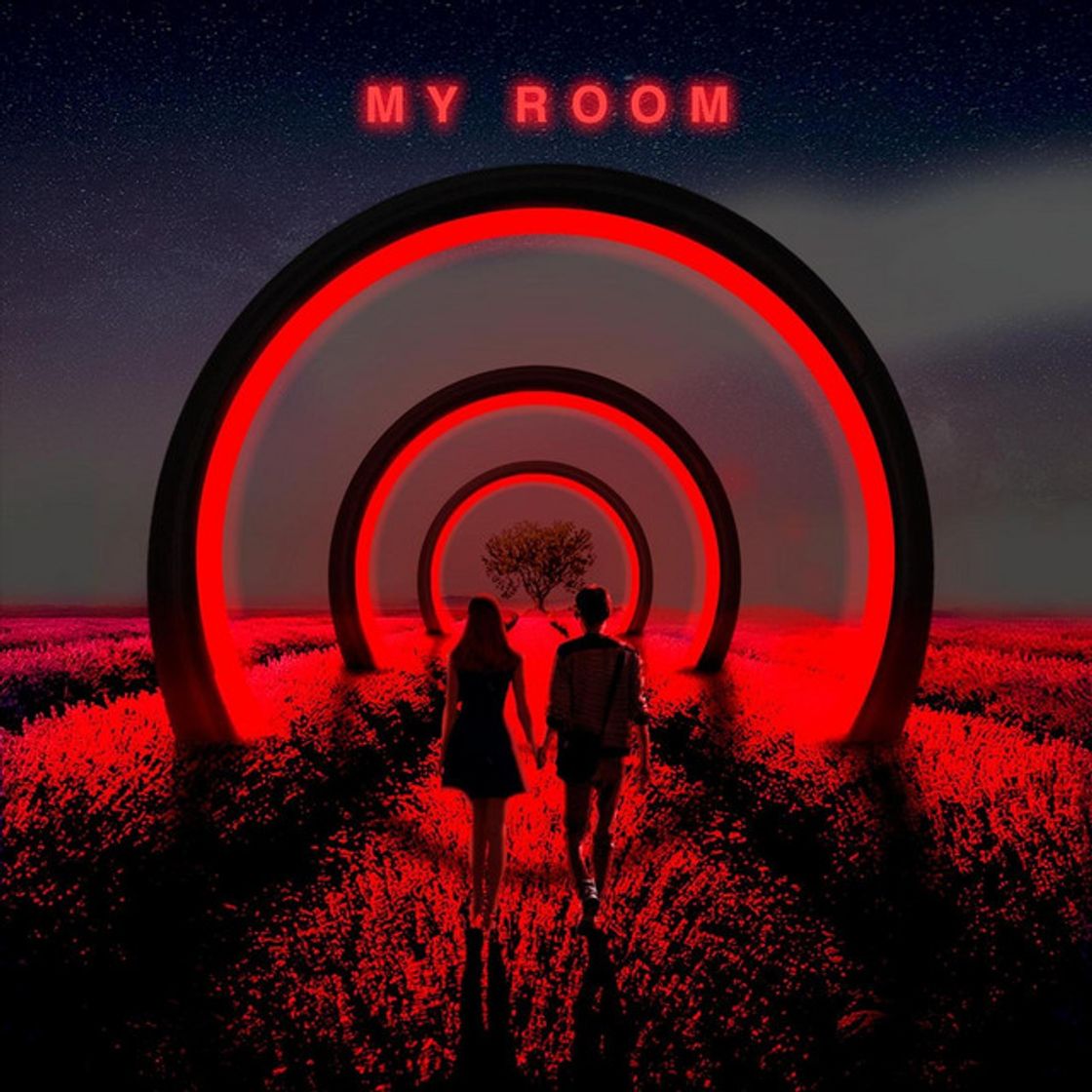 Canción My Room