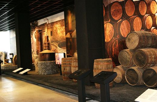 Museo del Chile y el Tequila 