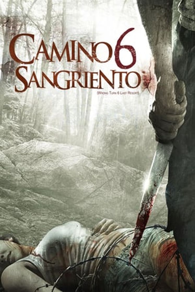 Película Camino sangriento 6