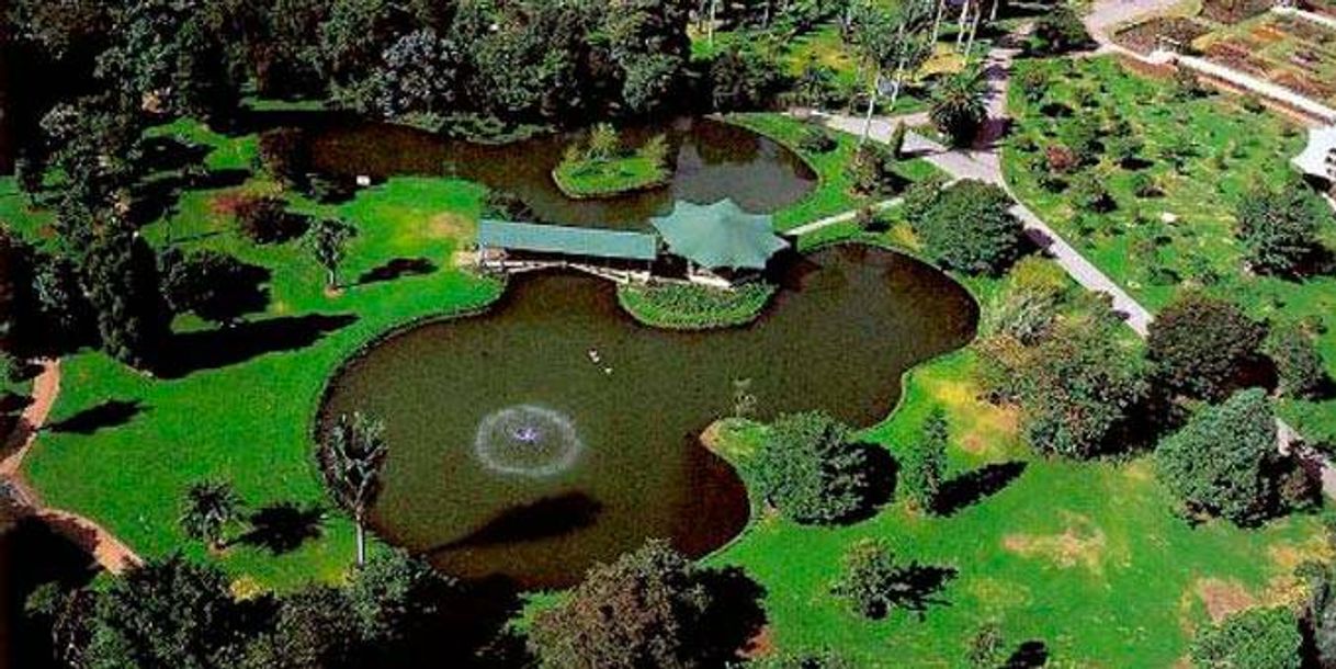 Places Jardin Botanico