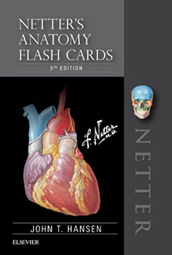 Netter's Anatomy Flash Cards E-Book