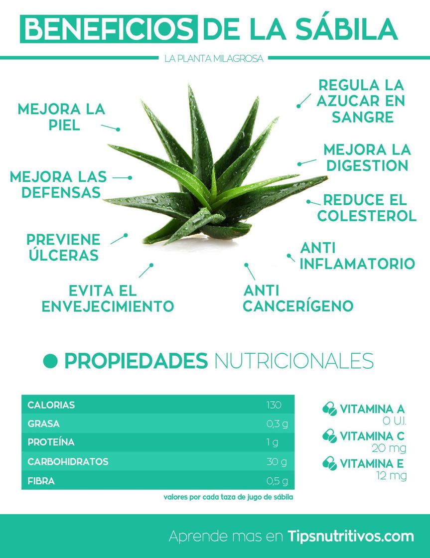 Social Beneficios de la sábila 