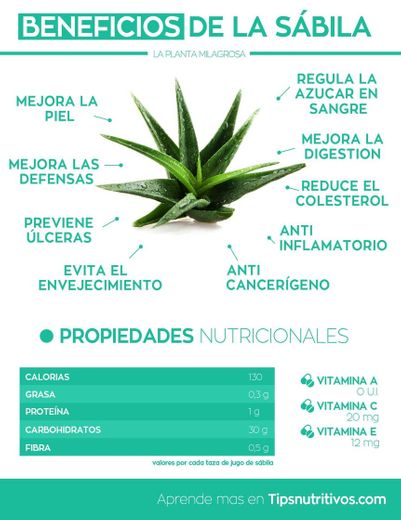 Beneficios de la sábila 