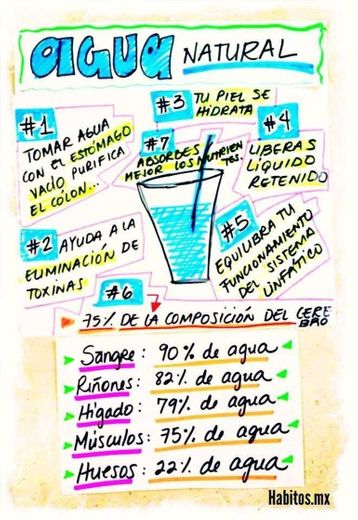 Razones para beber agua de limón 👌🏼