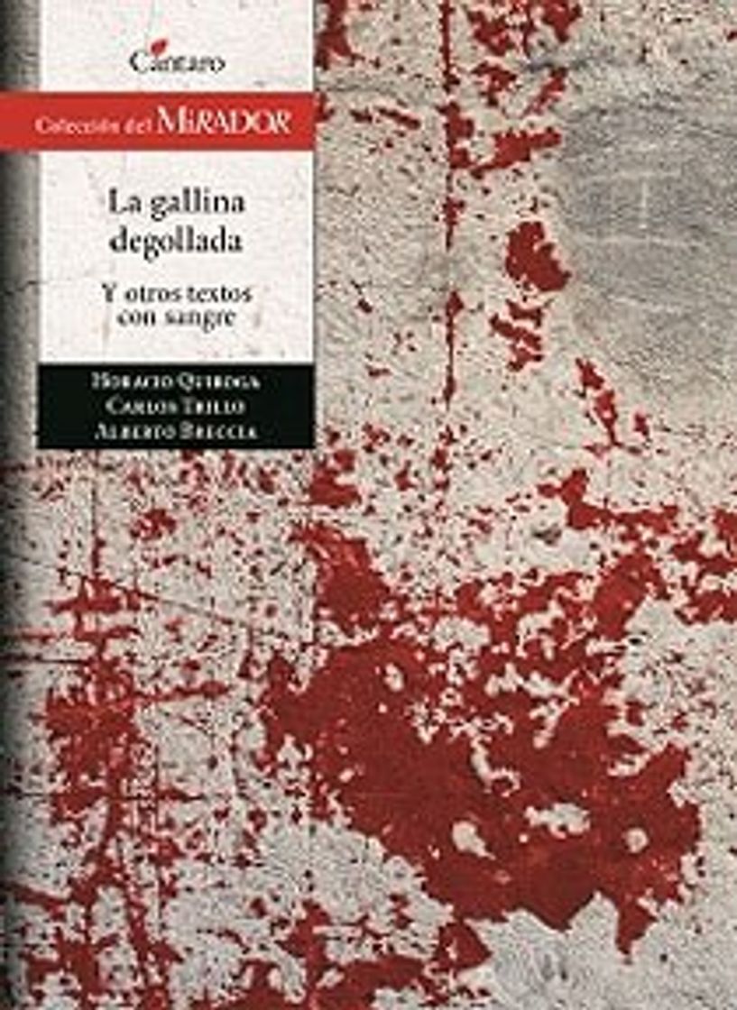 Libro La Gallina Degollada Y Otros Cuentos