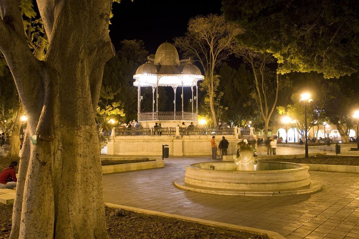 Place Zócalo Oaxaca