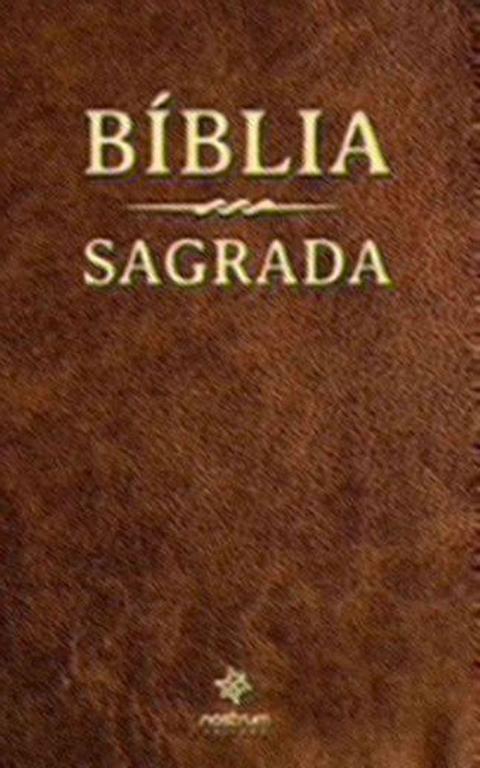 Book Bíblia Sagrada