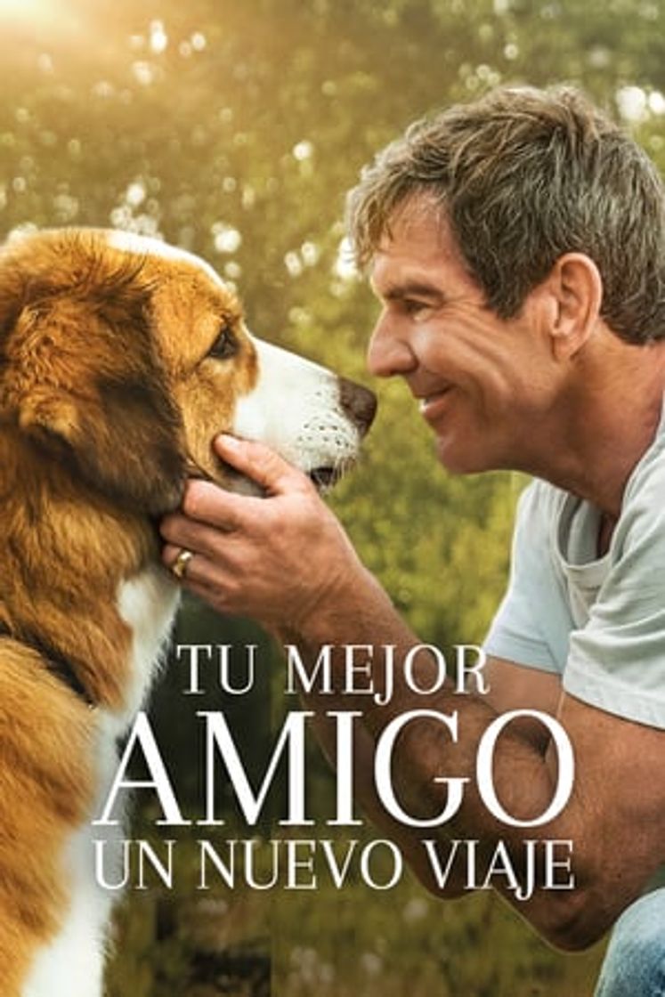 Movie Tu mejor amigo: Un nuevo viaje