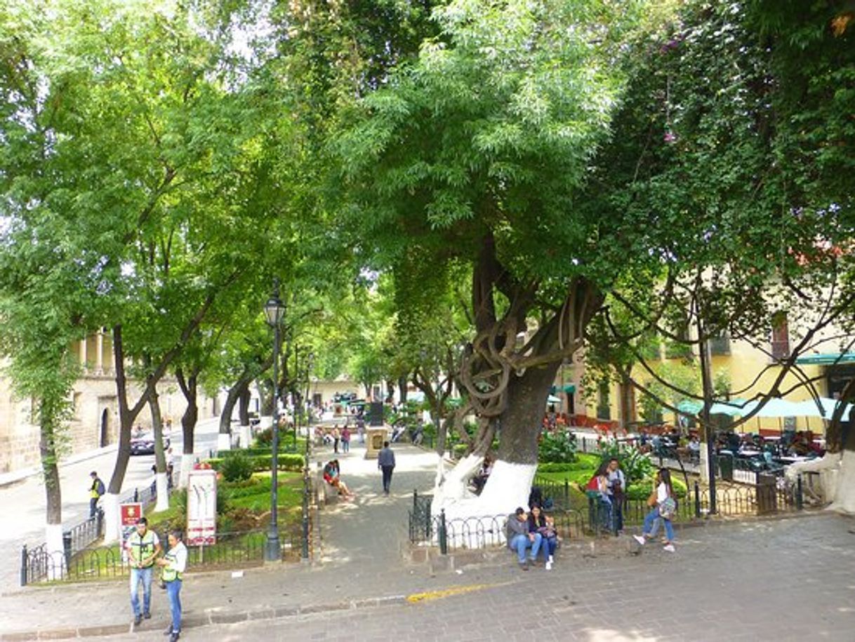 Lugar Jardín de Las Rosas