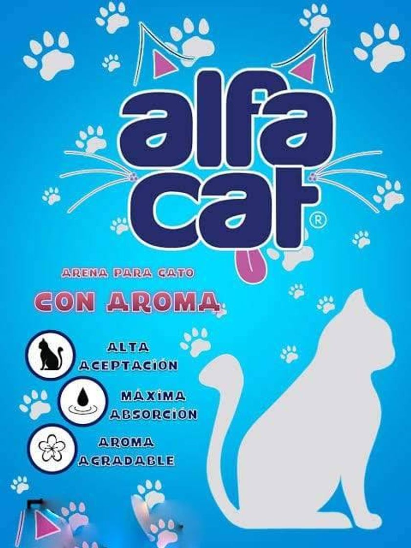 Fashion Arena Para Gato Alfa Cat

