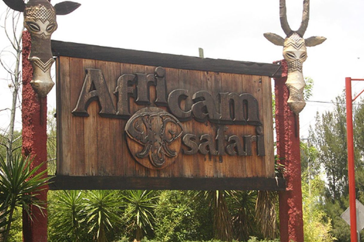 Lugar Africam Safari