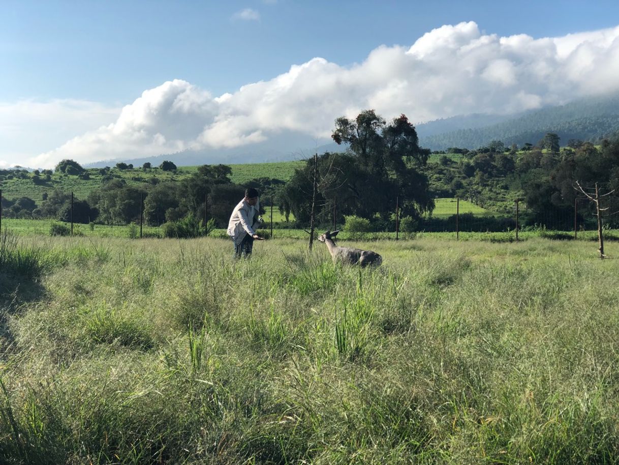 Lugar Mazamitla