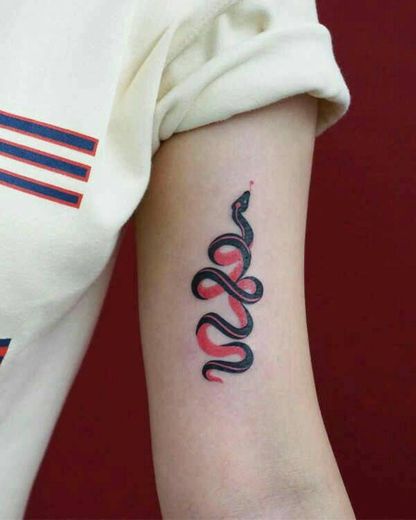 Tatto Cobra Vermelha 
