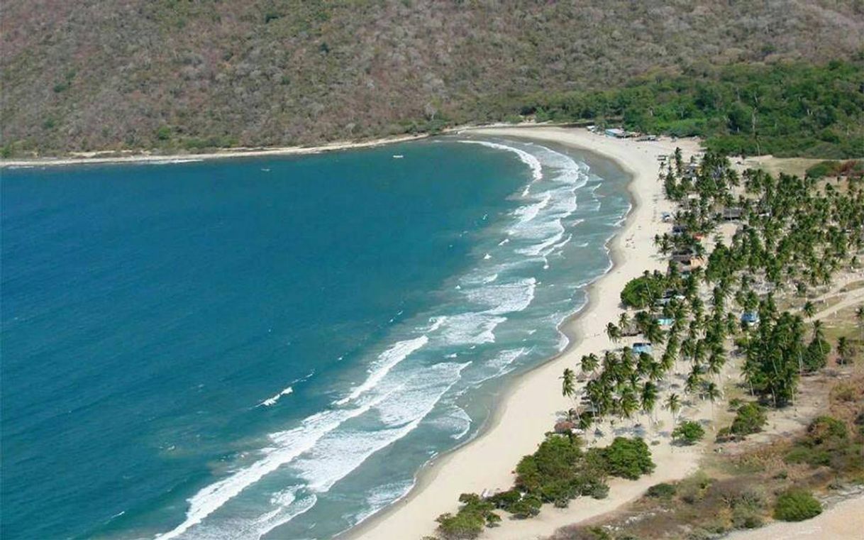 Lugar Playa Patanemo