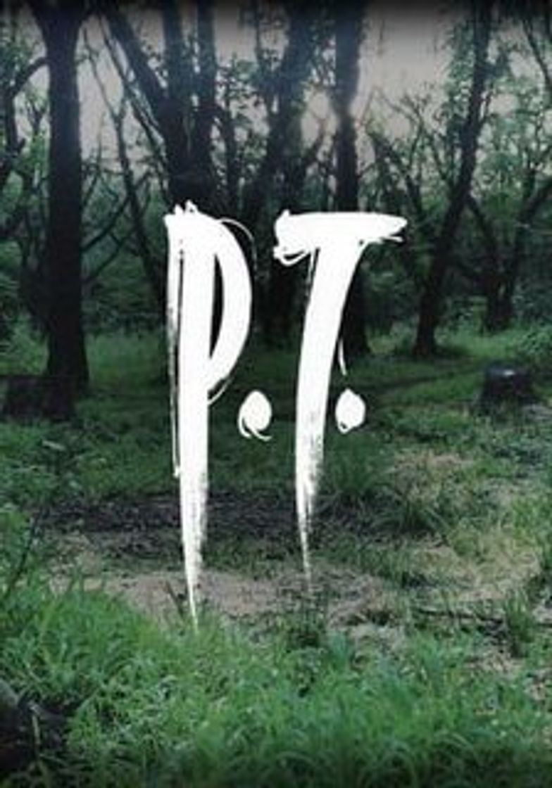 Videojuegos P.T.