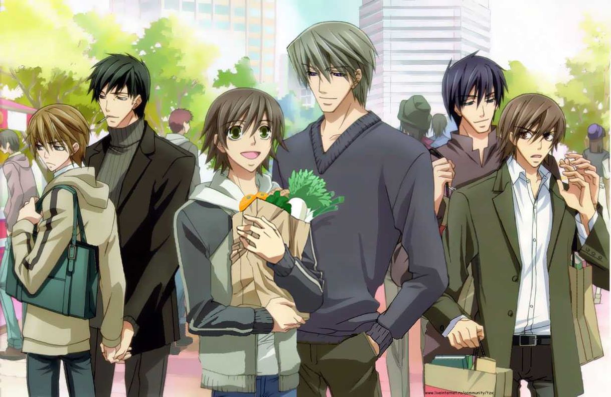 Serie Junjou Romantica.