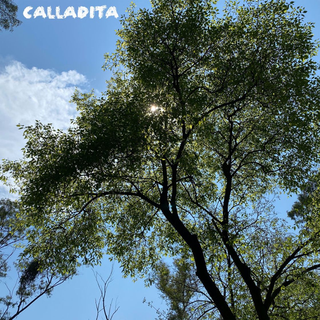 Canción Calladita