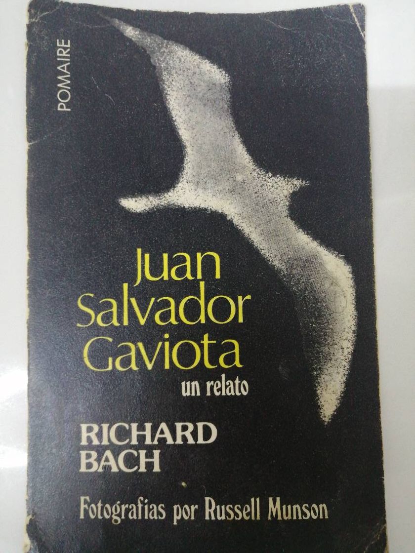 Book Juan Salvador gaviota