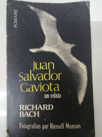 Juan Salvador gaviota