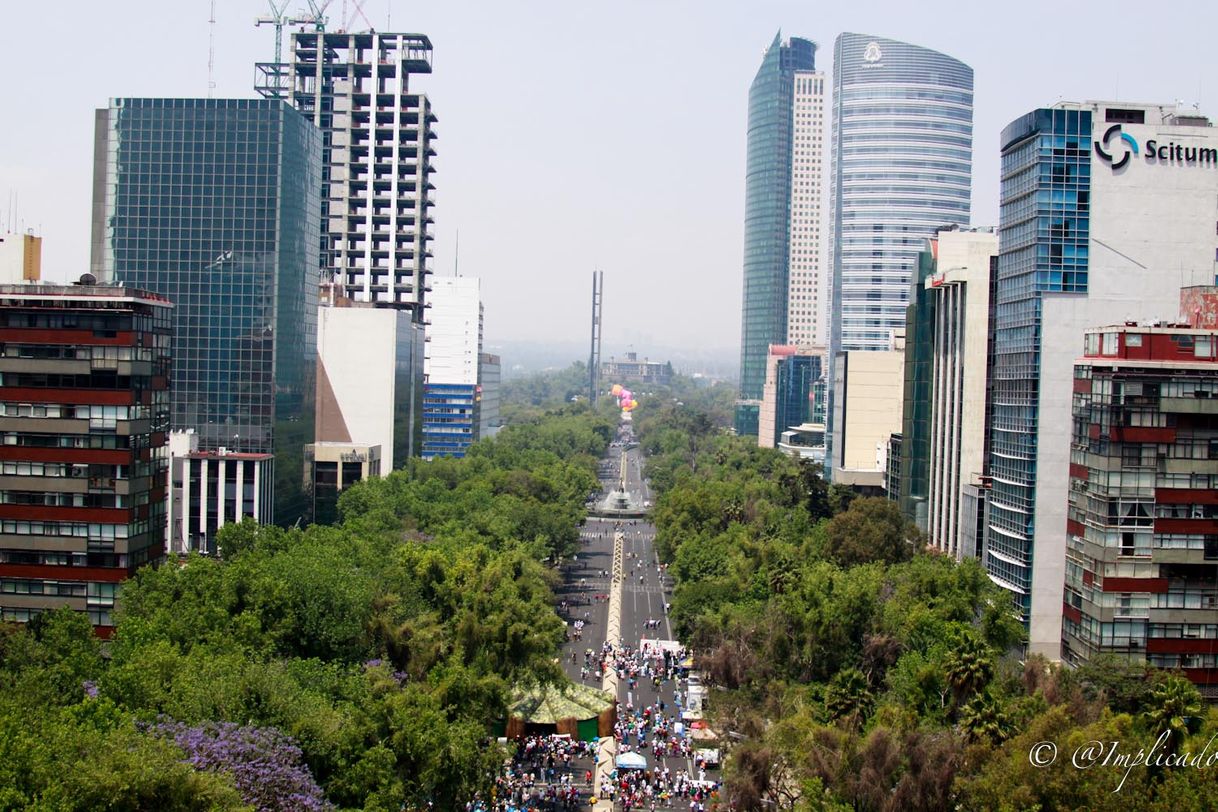 Place Avenida Paseo de la Reforma