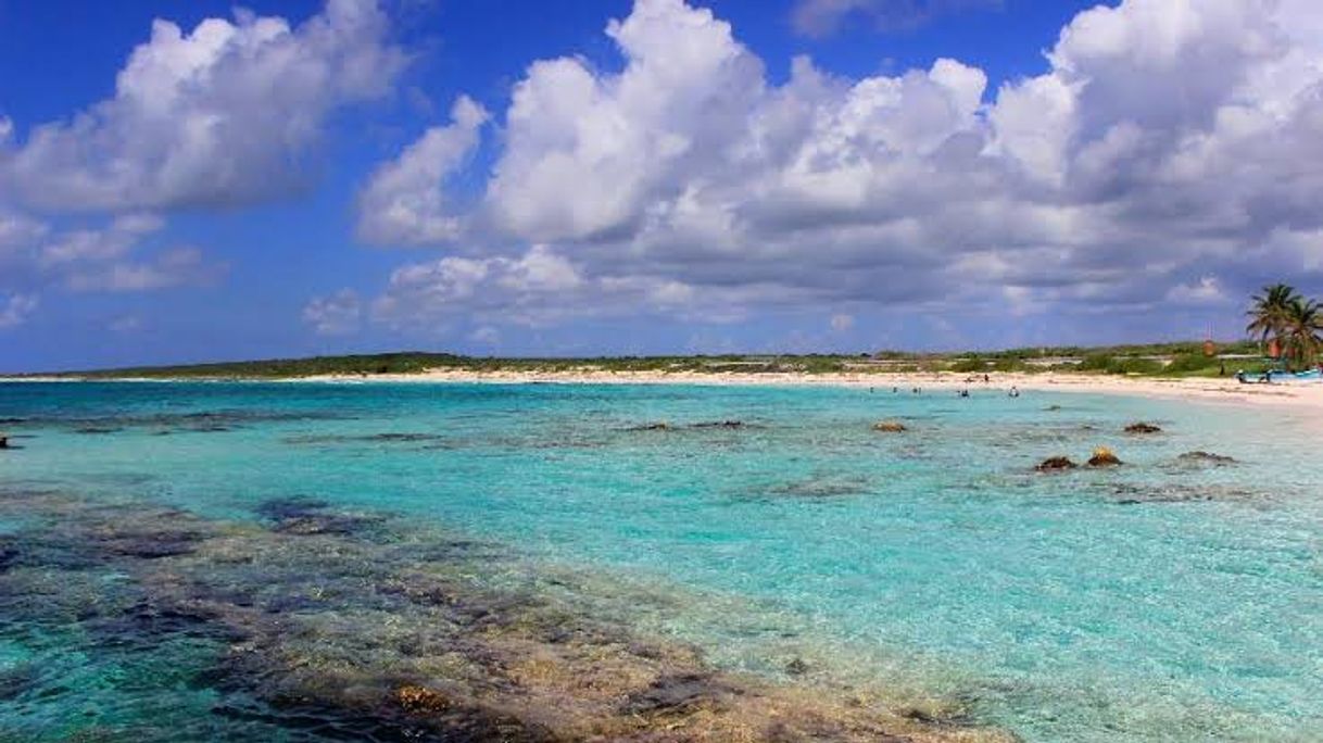 Place Playa Cozumel