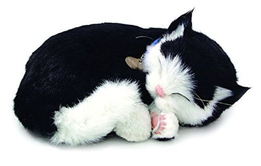 Cd3 - Gato de Peluche