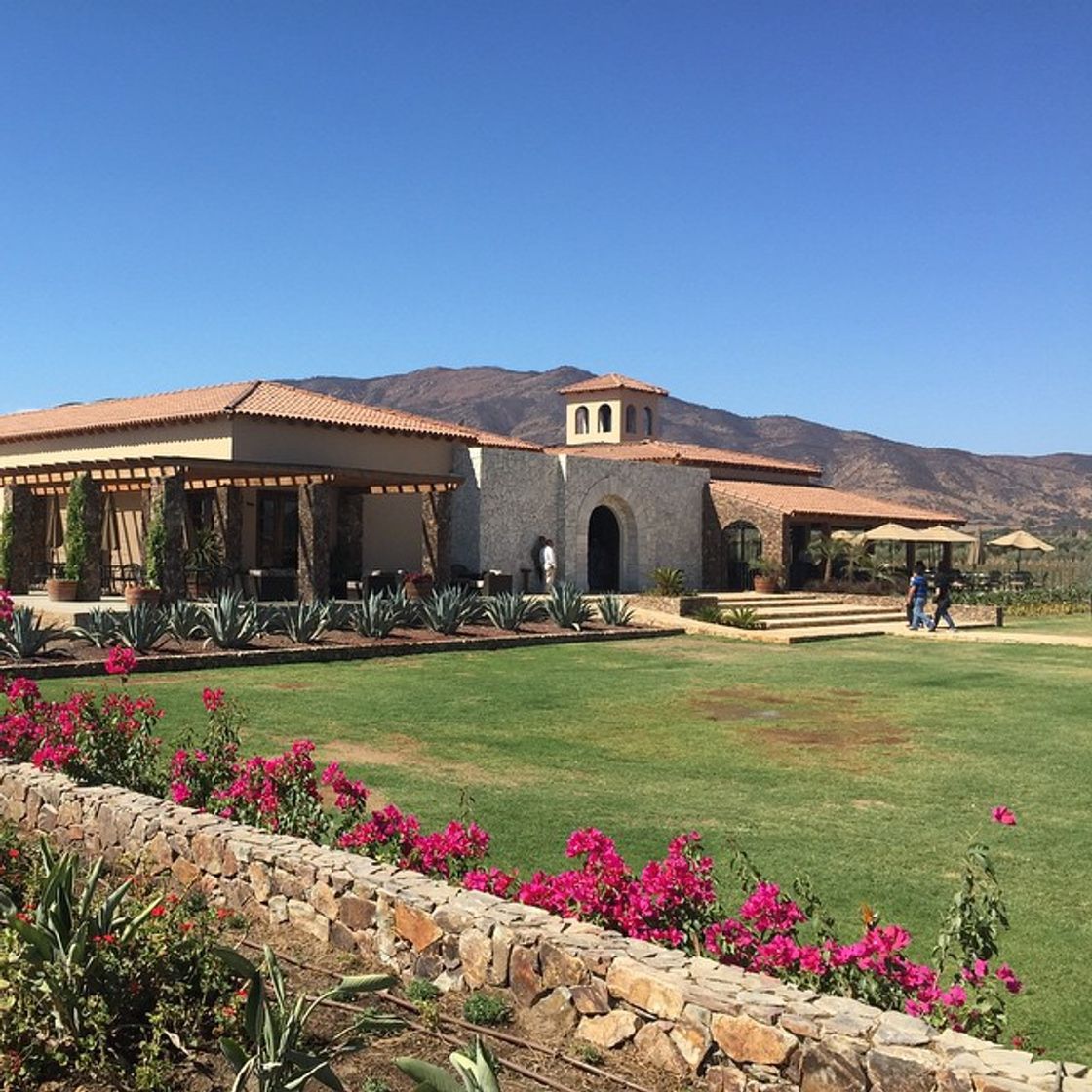 Place El Cielo Valle de Guadalupe