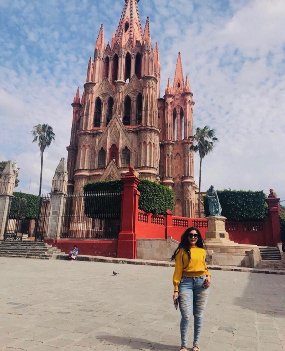 Place San Miguel de Allende