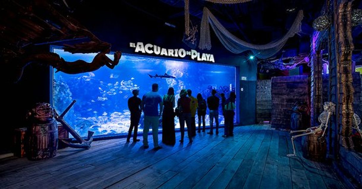 Place El Acuario de Playa