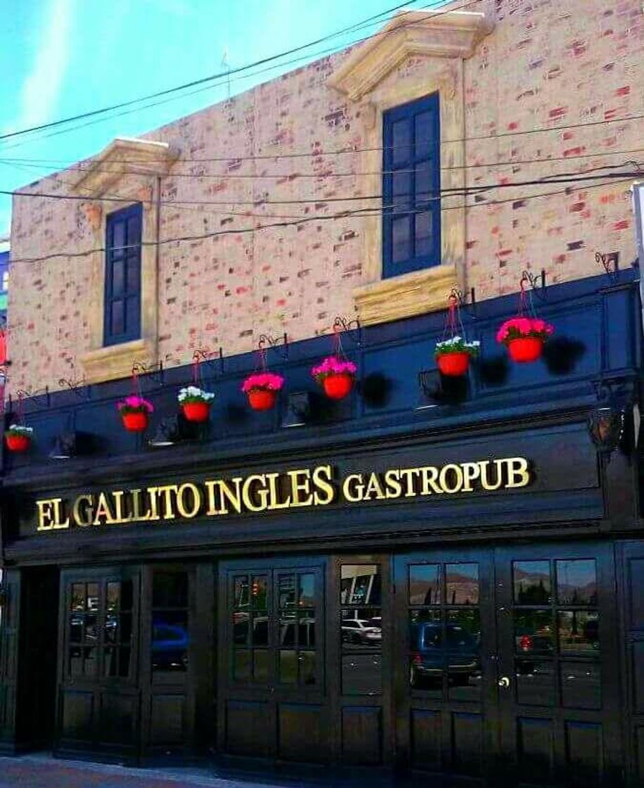 Restaurants El Gallito Inglés Gastropub